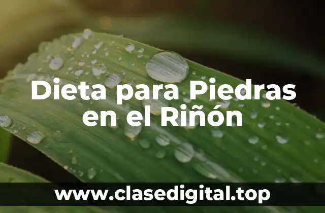 Dieta para Piedras en el Riñón