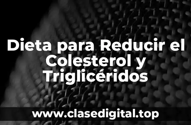 ¿Cuál es el papel del colesterol y los triglicéridos en la salud?