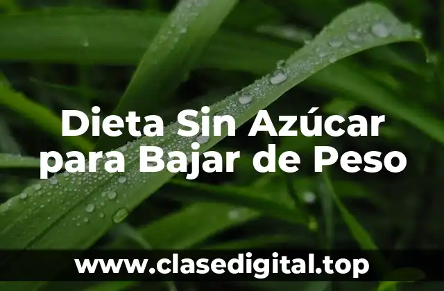 Dieta Sin Azúcar para Bajar de Peso