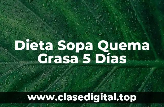 Dieta Sopa Quema Grasa 5 Días