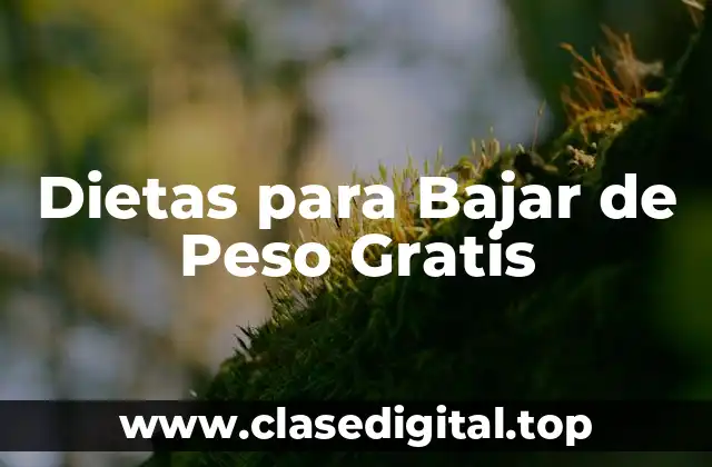 Dietas para Bajar de Peso Gratis