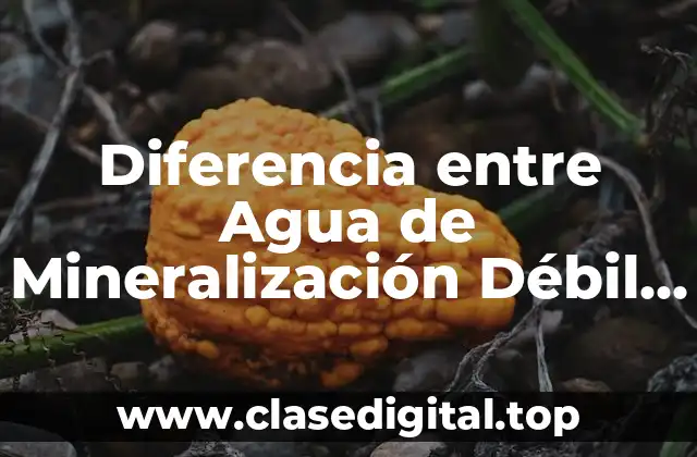 ¿Qué es el Agua de Mineralización Débil?