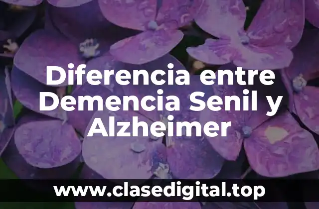 Diferencia entre Demencia Senil y Alzheimer