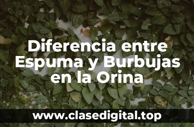 Diferencia entre Espuma y Burbujas en la Orina