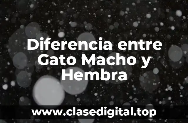 Diferencia entre Gato Macho y Hembra