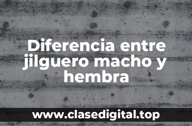 Características físicas del jilguero macho