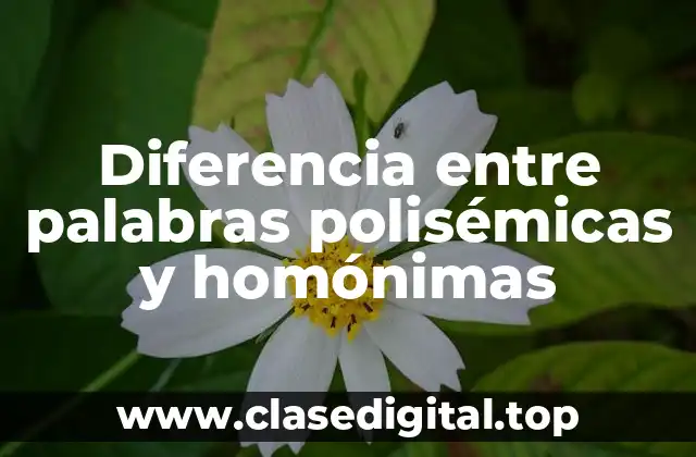 Diferencia entre palabras polisémicas y homónimas