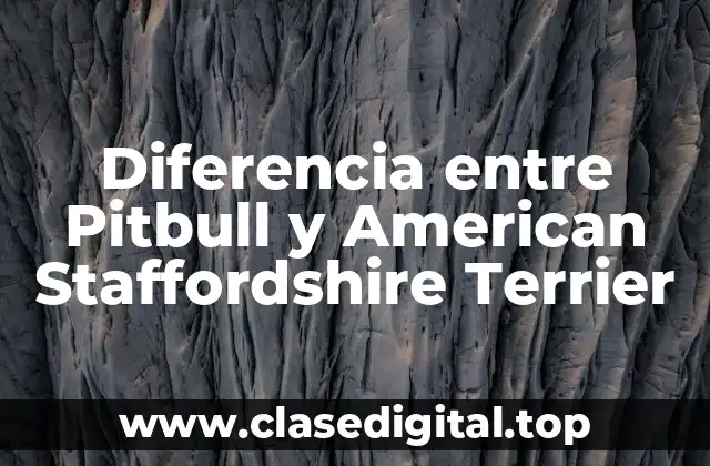 Diferencia entre Pitbull y American Staffordshire Terrier