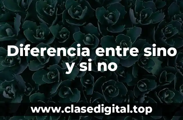Diferencia entre sino y si no