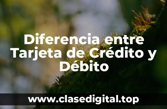 ¿Cómo Funcionan las Tarjetas de Crédito?