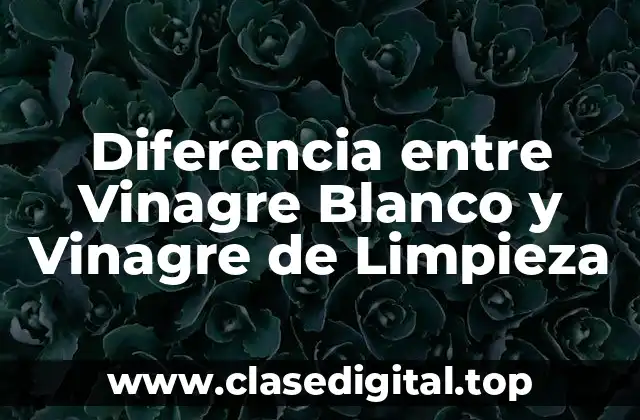 Diferencia entre Vinagre Blanco y Vinagre de Limpieza