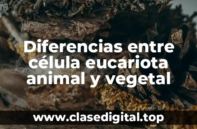 Diferencias entre célula eucariota animal y vegetal