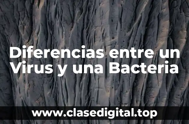 Diferencias entre un Virus y una Bacteria