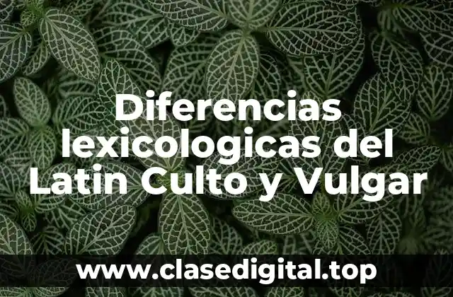 Ejemplos de Diferencias Lexicologicas