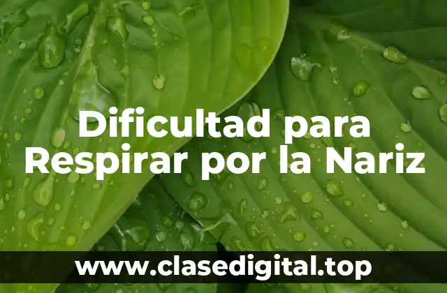 Dificultad para Respirar por la Nariz
