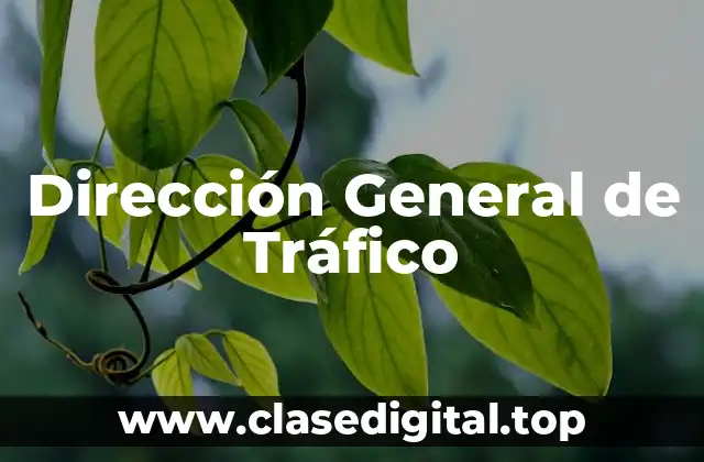 Dirección General de Tráfico