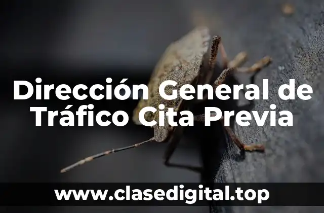 Dirección General de Tráfico Cita Previa