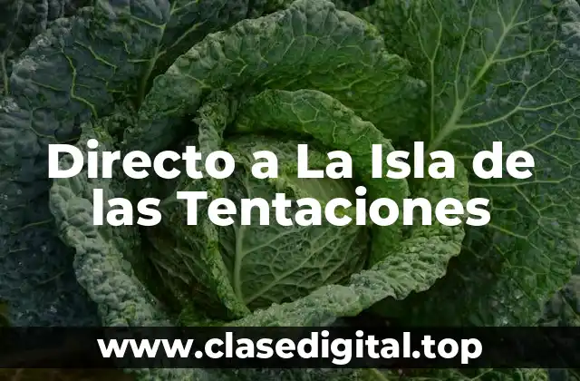 Directo a La Isla de las Tentaciones
