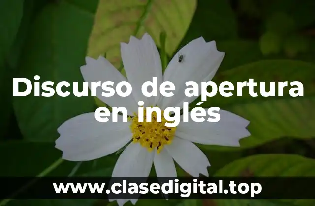 Discurso de apertura en inglés