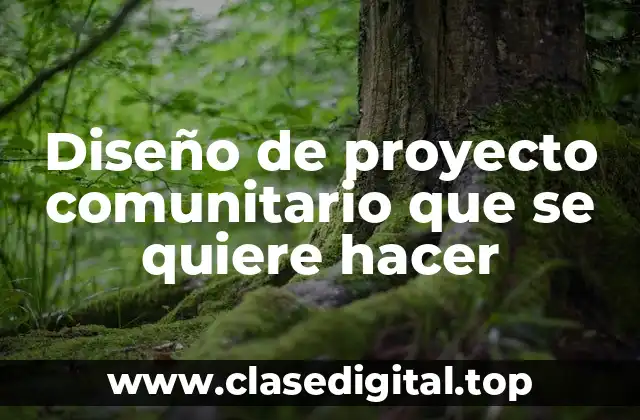 Diseño de proyecto comunitario que se quiere hacer