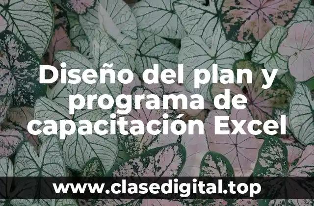 Diseño del plan y programa de capacitación Excel