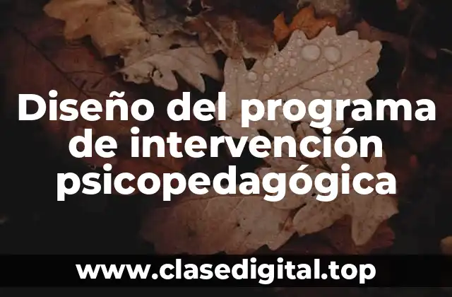 Diseño del programa de intervención psicopedagógica