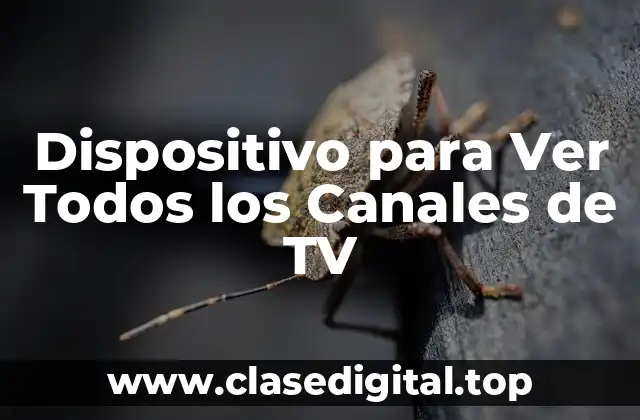 Dispositivo para Ver Todos los Canales de TV