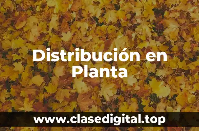 Distribución en Planta
