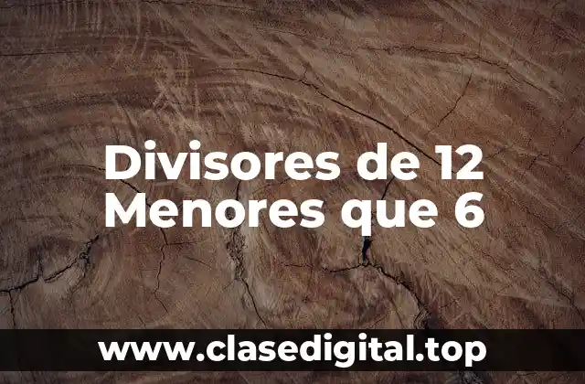 ¿Qué son los Divisores de un Número?