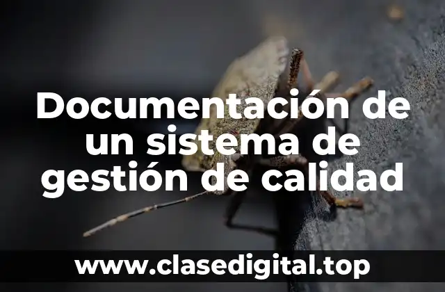 Documentación de un sistema de gestión de calidad