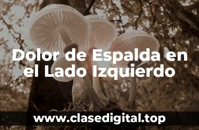 Dolor de Espalda en el Lado Izquierdo