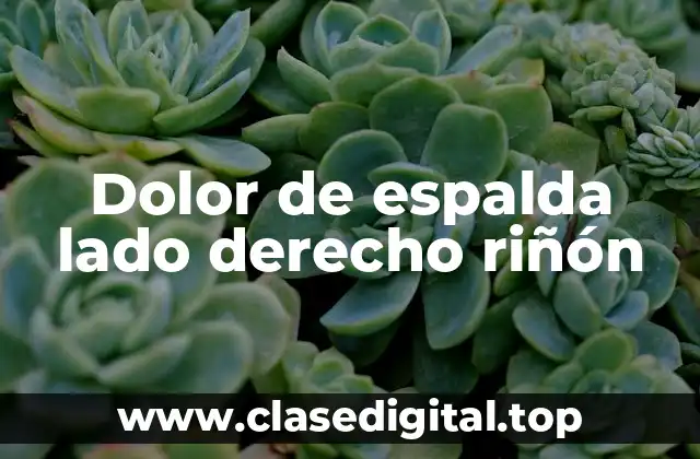 Dolor de espalda lado derecho riñón