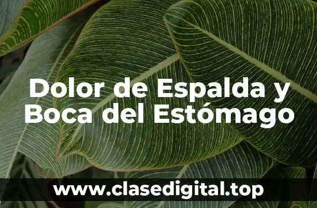 Dolor de Espalda y Boca del Estómago