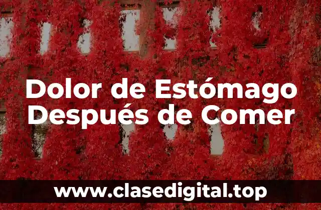Causas del Dolor de Estómago Después de Comer