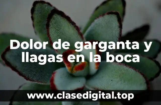 Dolor de garganta y llagas en la boca