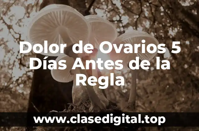 Dolor de Ovarios 5 Días Antes de la Regla
