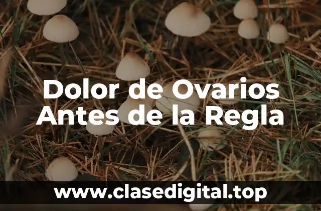 Dolor de Ovarios Antes de la Regla