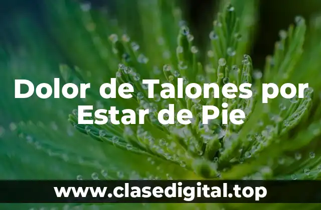Dolor de Talones por Estar de Pie