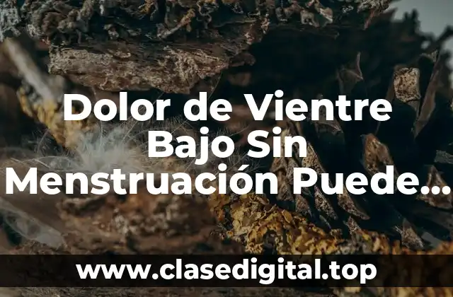 Dolor de Vientre Bajo Sin Menstruación Puede Ser Embarazo