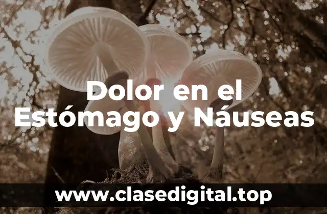 Dolor en el Estómago y Náuseas