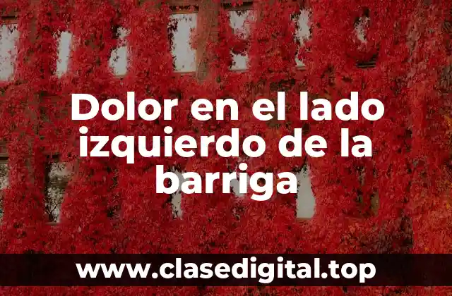 Dolor en el lado izquierdo de la barriga