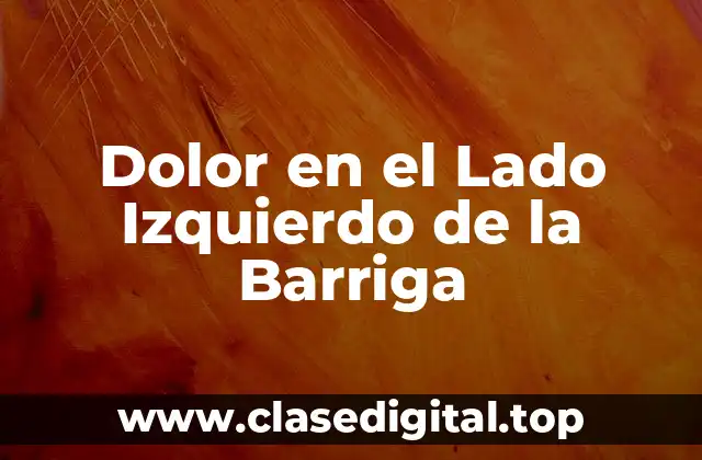 Causas del Dolor en el Lado Izquierdo de la Barriga