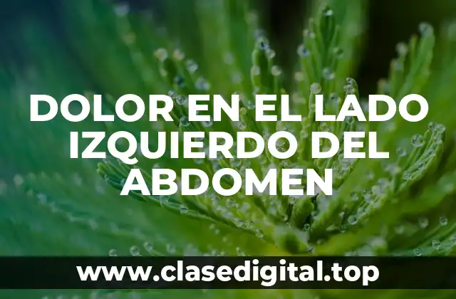 DOLOR EN EL LADO IZQUIERDO DEL ABDOMEN