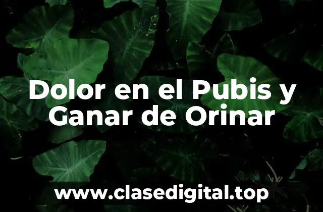 Dolor en el Pubis y Ganar de Orinar