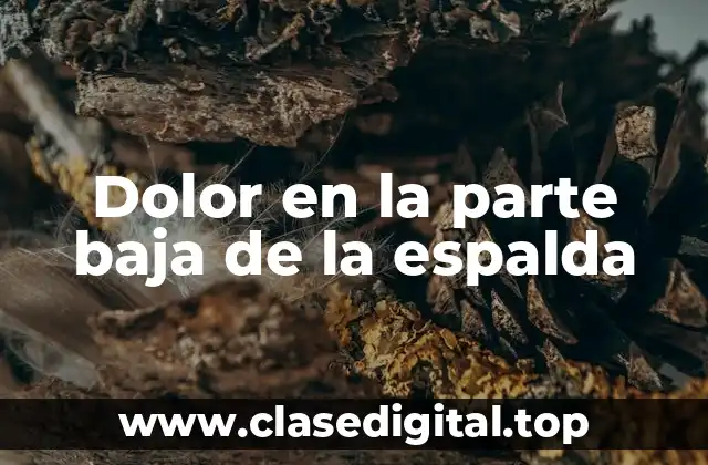 Dolor en la parte baja de la espalda