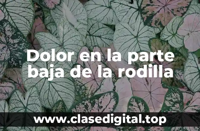 Dolor en la parte baja de la rodilla