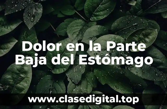 Causas de los Dolores en la Parte Baja del Estómago