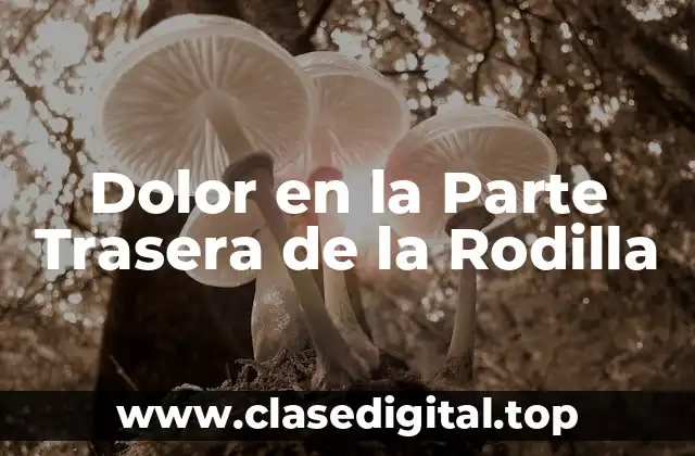 Dolor en la Parte Trasera de la Rodilla