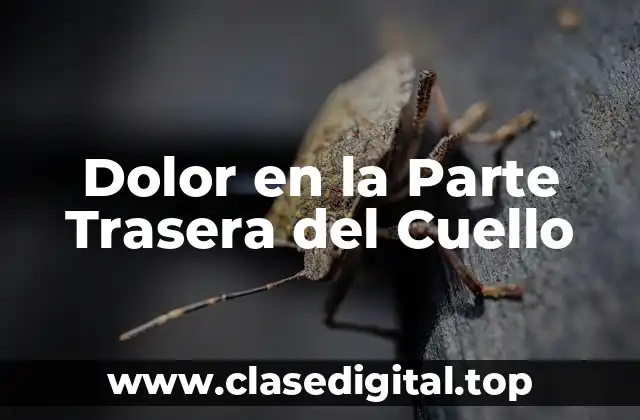 ¿Qué son las Causas del Dolor en la Parte Trasera del Cuello?