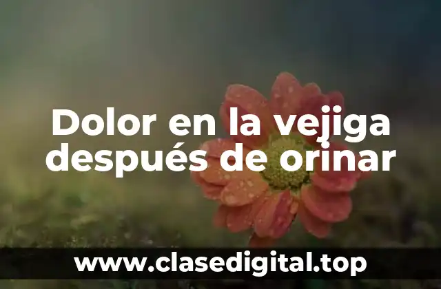 Dolor en la vejiga después de orinar